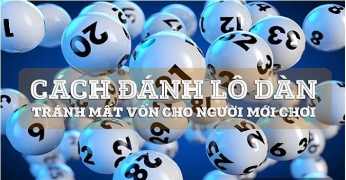 cach-nuoi-lo-khung-2-ngay-hieu-qua-1